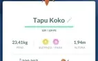 Pokemons a venda