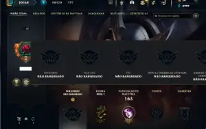Unranked com 80 Champs e 69 Skins ( MAIN SUP )