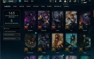 Unranked com 80 Champs e 69 Skins ( MAIN SUP )