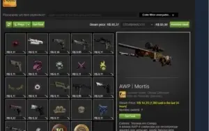Steam 16 anos Prime Medalhas +Skins