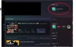 Steam 16 anos Prime Medalhas +Skins