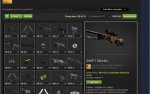 Steam 16 anos Prime Medalhas +Skins