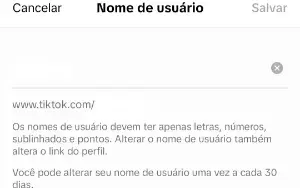 CONTA TIKTOK COM 1000 SEGUIDORES 🇧🇷 PROMOVER ✅ VEJA A DESC