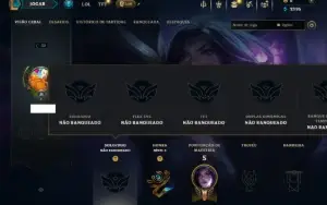 Unranked com 40 Champs e 6 Skins