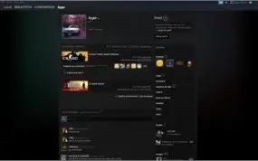 Conta CSGO Aguia 2 - Prime