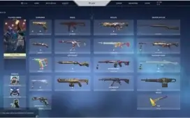 valorant+800 reias gastos skin saqueadora  (negociar preço)