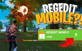FREE FIRE REGEDIT TODOS EMULADORES