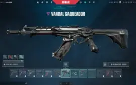 Conta valorant com katana baratinha!!