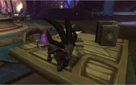 Monge DPS / Healer 476