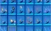 Fortnite Skull Trooper + Cavaleiro Negro + SoM (farm vbucks)