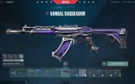 Conta valorant muitas SKINS