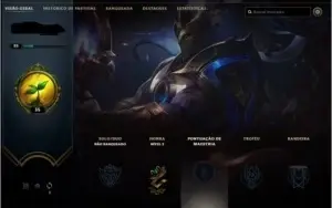 Conta lvl 30 apenas.