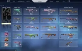 Conta valorant beta rara barata com skins