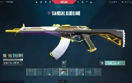 Conta Valorant +1500 gastos
