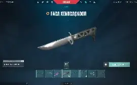 Conta Valorant +1500 gastos