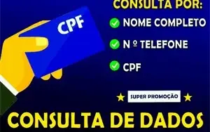 CONSULTA DE DADOS (PERMANENTE) | CPF - NÚMERO - TELEFONE