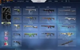 Conta Valorant Muitas Skins! Leia Descrição!