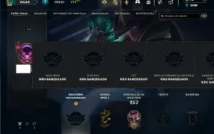Unranked com 85 Champs e 40 Skins