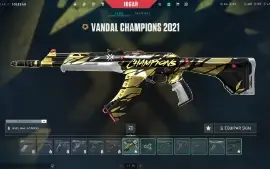 Conta valorant ( Melhor vandal champions na conta ) + lol