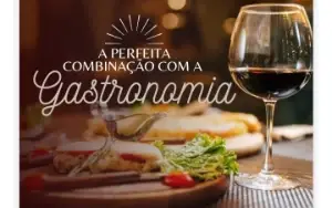 templates editáveis de vinhos no Canva: