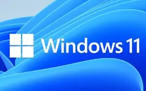 Windows 11 Pro