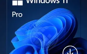 Windows 11 Pro