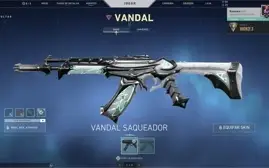 Vendo Conta com Vandal Saqueadora