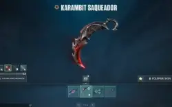 Conta Valorant com Kit Saqueador + Karambit + 3 Vandal + 4 p
