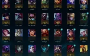 Conta Platina 4