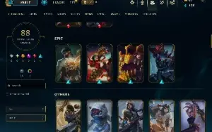 Conta Lol - Janna Vitoriosa - Riot Singed