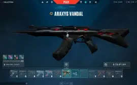 Conta Valorant D3, faca RGX11Z, vandal ARAXYS, phantom CRISI