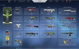 Conta Riot com 710 skins, platina IV + skins no valorant