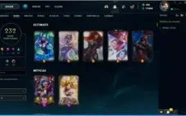 CONTA LV 309 - 236 SKINS