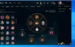 CONTA LV 309 - 236 SKINS
