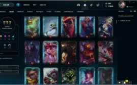 CONTA LV 309 - 236 SKINS