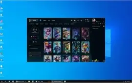 CONTA LV 309 - 236 SKINS