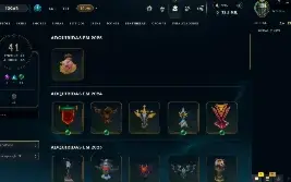 Conta League Of Legends, Lvl 492, Platina Iv, 195 Skins, 234