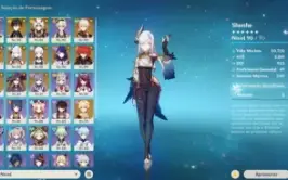 AR 58 Ayaka C3 + Bis Kazuha Itto Kokomi Shogun Zhong