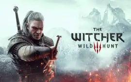 The Wither 3,Horizon zero drawn, Borderlands 3 CONTA STEAM