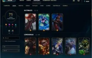 Plat 4 / Todos os champs