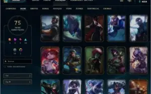 Plat 4 / Todos os champs