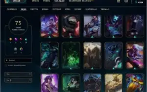 Plat 4 / Todos os champs