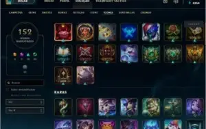 Plat 4 / Todos os champs