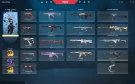 Conta Valorant +1k900 gastos