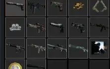 Conta Cs2 Prime - Lvl 19 Gc - Rank Premier (Lvl 13 Steam)
