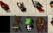 ROYAL PALADIN LVL 100 - BELOBRA