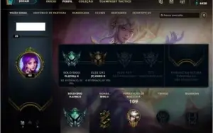 Conta platina 2 com 2 ultimate skin! 30 champs