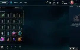 CONTA LEVEL 30 VIRGEM