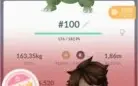 CONTA POKEMON GO LVL 33