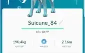 Conta Pokémon Go Lv 30 Time Azul - Ho-Oh 100% + Cães + Shiny